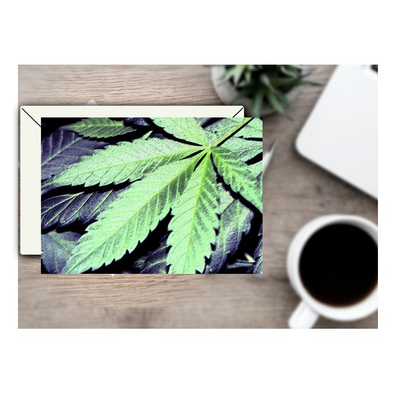Blank Note Boxed Set Sac